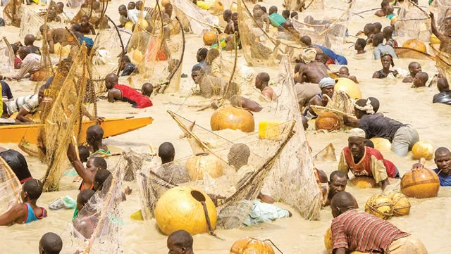 Kebbi Fixes Feb 11–14 for 2026 Argungu International Fishing Festival